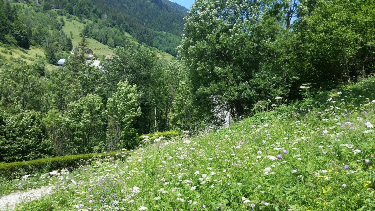 Le Postillon - Duo Leilighet Saint-Pierre-d'Entremont  Eksteriør bilde